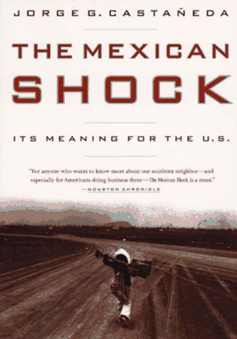 The Mexican Shock: Impact on the United States | Economic Analysis & Policy Implications for US-Mexico Relations