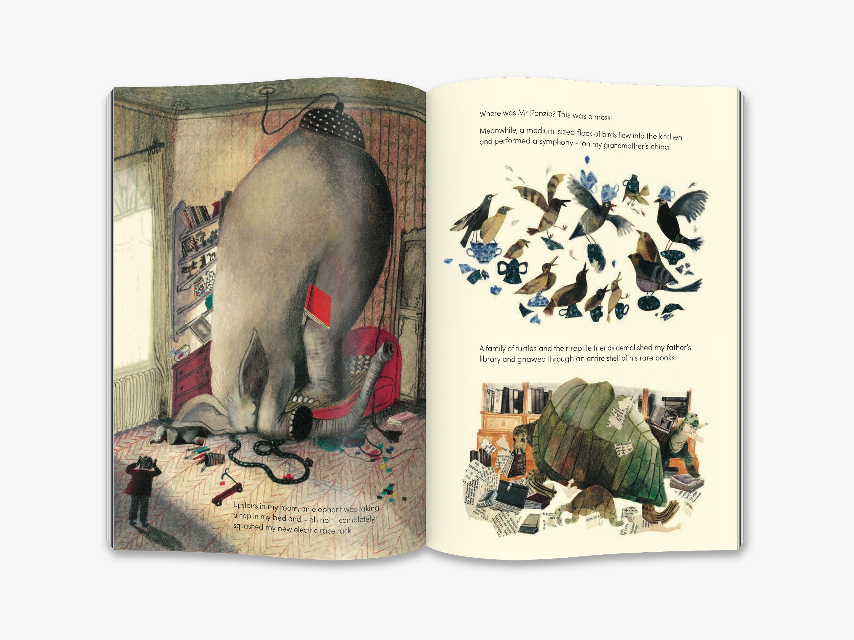 Harold Snipperpot's Best Disaster Ever - Funny Children's Story Book for Kids | Perfect for Bedtime Reading & Family Storytime