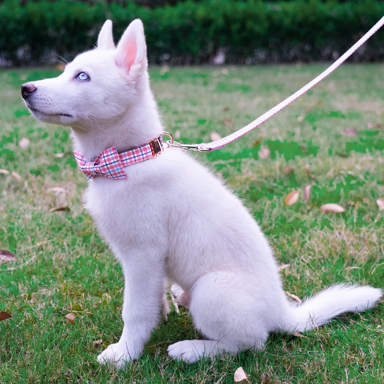 Elegant Plaid Dog Collar with Bow Tie - Soft Comfy Cotton Adjustable Collar for Small Medium Large Dogs & Puppies - Premium Metal Buckle for Outdoor Training, Walking & Running (Pink Grid, Medium) - Perfect for Pet Parties, Daily Walks & Photo Shoots