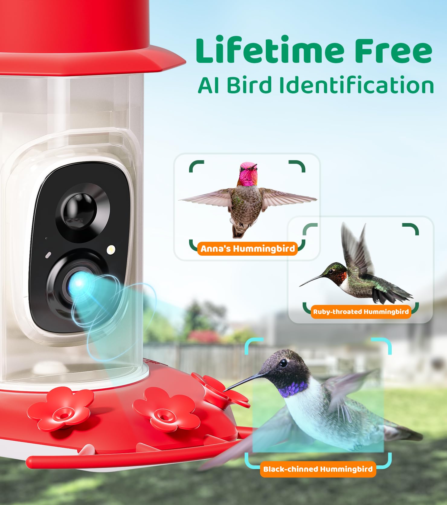 HIXX Smart Hummingbird Feeder with Camera - Solar Powered Bird Feeder with AI Recognition, Ant Moat & Bee Proof Design - Easy Clean & Refill - Includes Coolfly Birdwatching App - Perfect Gift for Bird Lovers (17.5 oz) - Ideal for Backyard Birdwatching, Nature Photography & Outdoor Decor