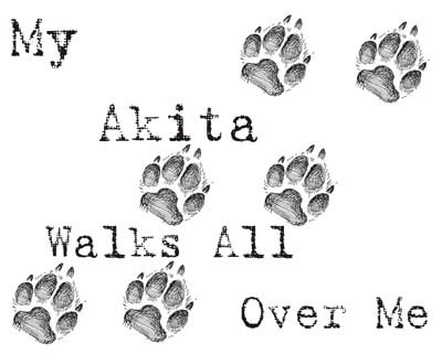 My Akita Walks All Over Me