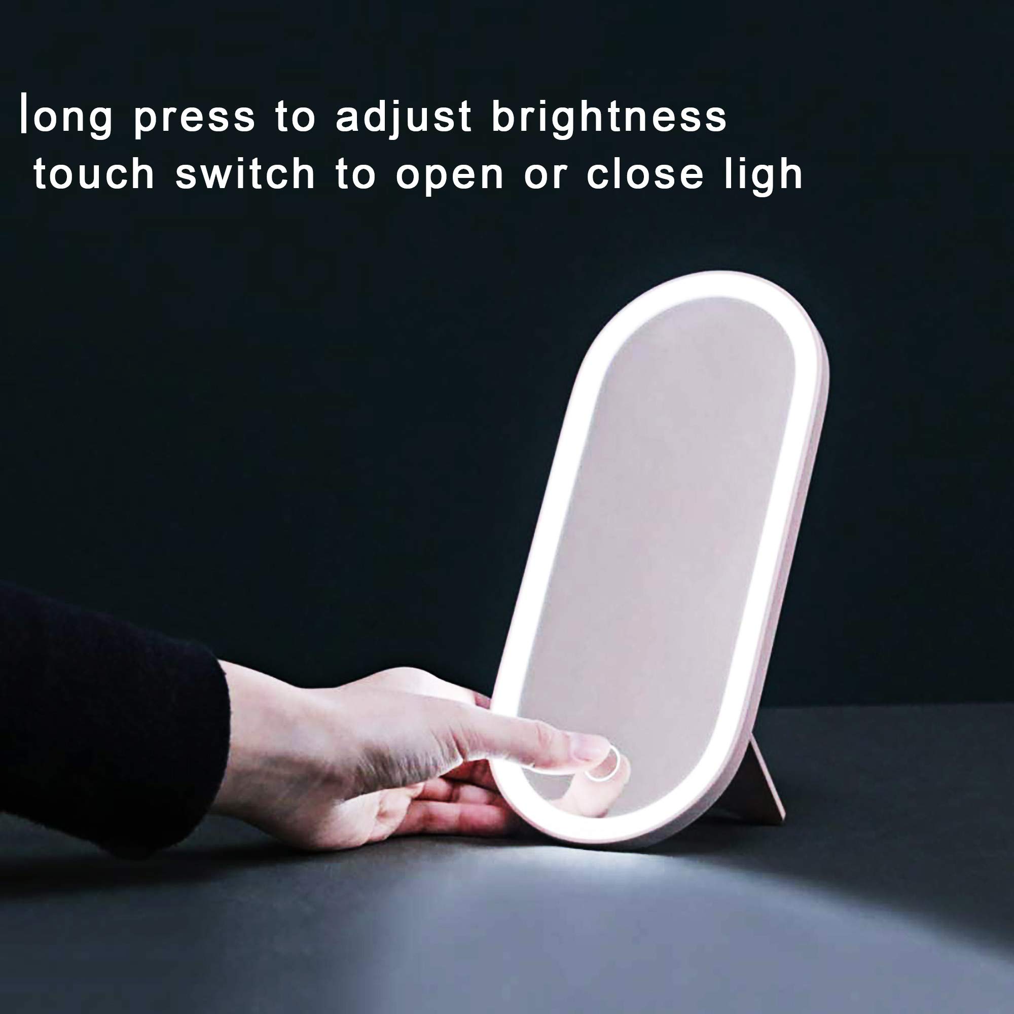 LED Lighted Travel Makeup Organizer Bag with Mirror - Portable Cosmetic & Jewelry Case for Women | Perfect for Airplane, Vacation & Daily Makeup Storage