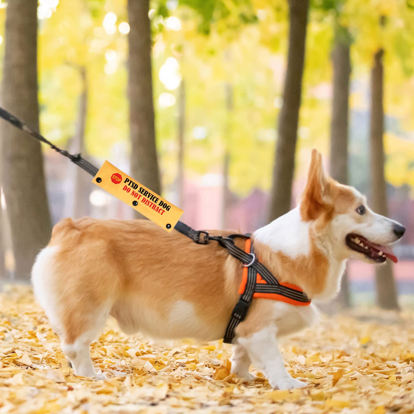 PWHAOO PTSD Service Dog Leash Wrap - Do Not Disturb Vest Sleeve for Anxiety & Emotional Support Dogs - Durable Assistance Dog Alert Accessory (Ideal for Public Outings & Therapy Sessions)
