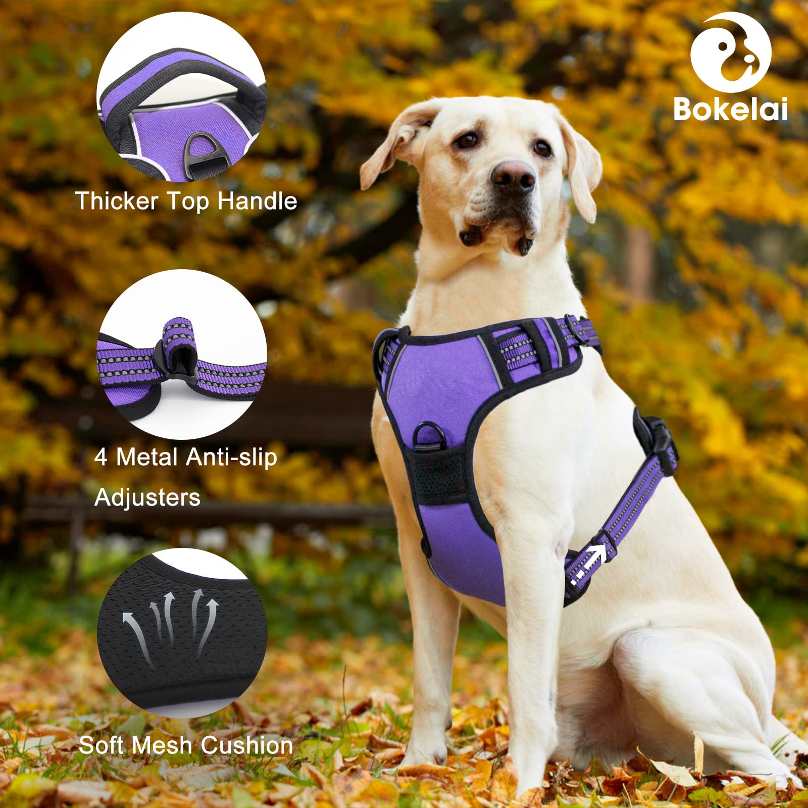 No Pull Dog Harness for Small Medium Large Dogs - Adjustable Reflective Pet Vest with Front Clip & Padded Design - Easy Control Handle for Outdoor Training, Walking & Hiking (Purple) - Perfect for Daily Walks, Jogging & Pet Adventures