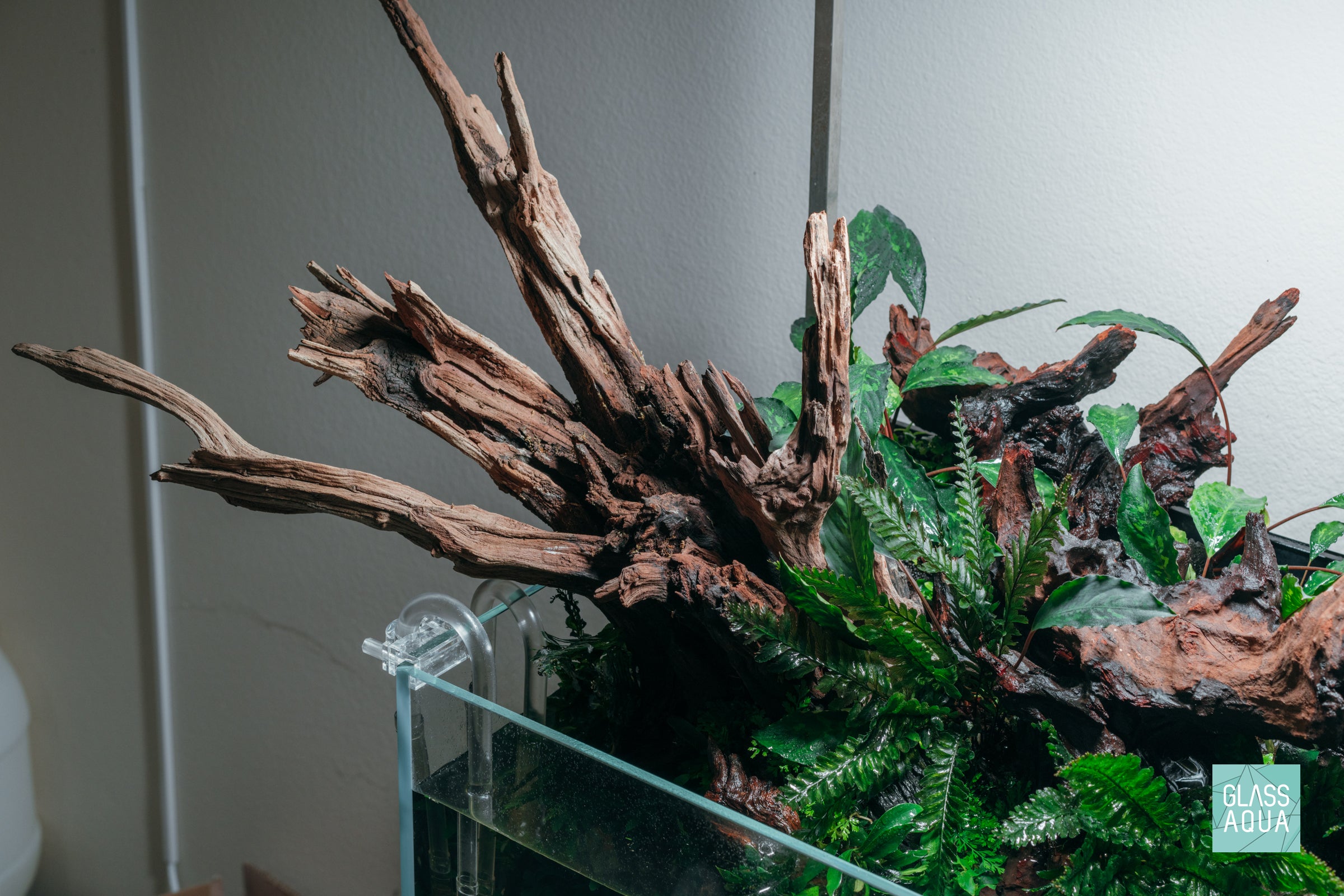 Natural Malaysian Driftwood for Aquarium Decor - Unique Wood Pieces for Fish Tank, Terrarium & Home Decoration - Perfect for Aquascaping & DIY Projects