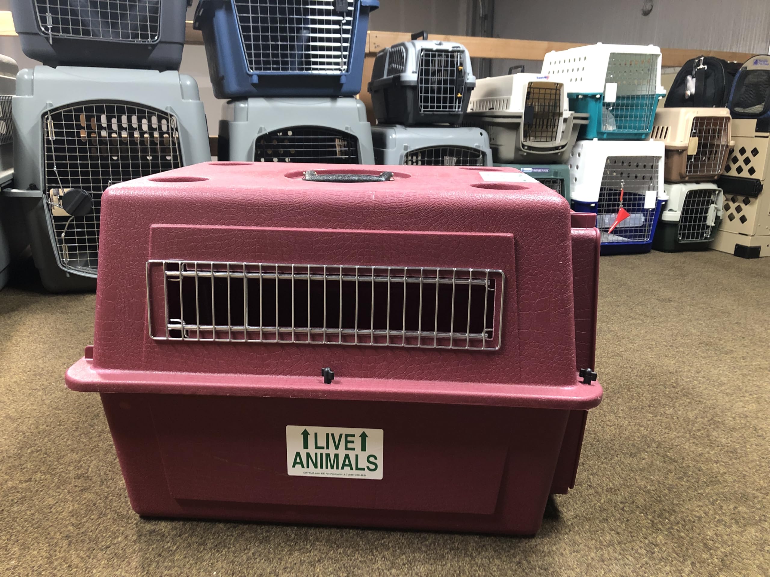 500 Live Animal Shipping Labels with Arrows - Durable Pet Airline Stickers for Safe Transport