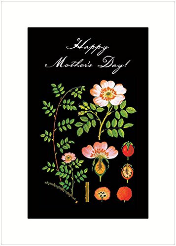 Beautiful Rose Mother's Day Cards - Set of 6 Elegant 5x7 Greeting Cards for Mom - Perfect for Mother's Day Gifts, Thank You Cards & Special Occasions