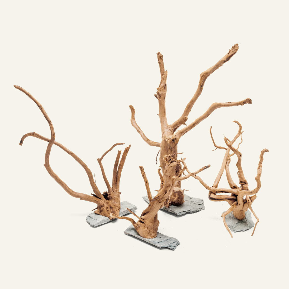 Natural Spider Wood on Slate Stone Aquarium Decor - Perfect for Fish Tanks, Terrariums & Reptile Habitats