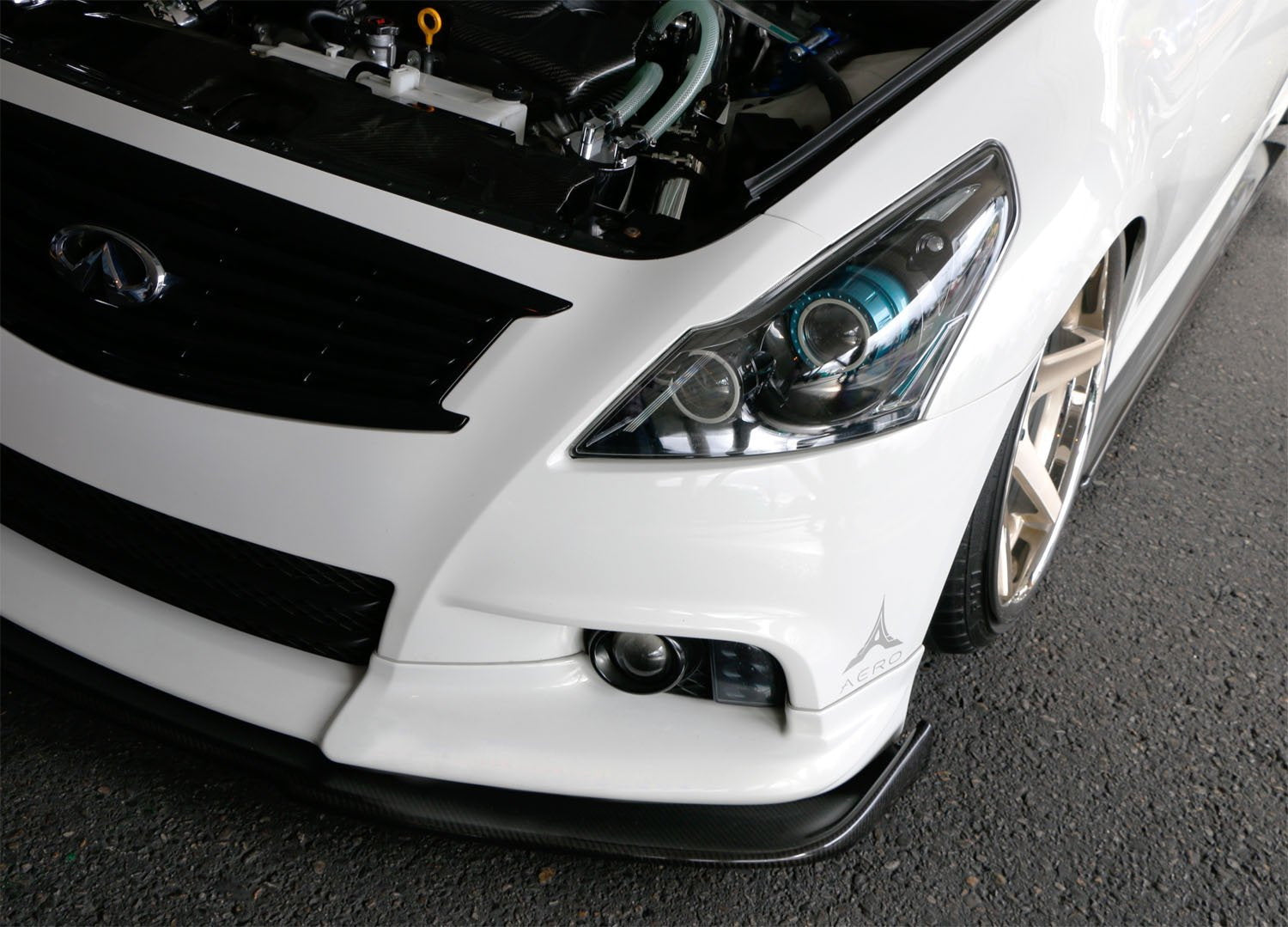 OEM Replacement Projector Fog Lights for Nissan Infiniti M35 M45 G37 - Durable Halogen Bulbs, Perfect Fit, Weather-Resistant - Enhance Night Driving Safety & Style