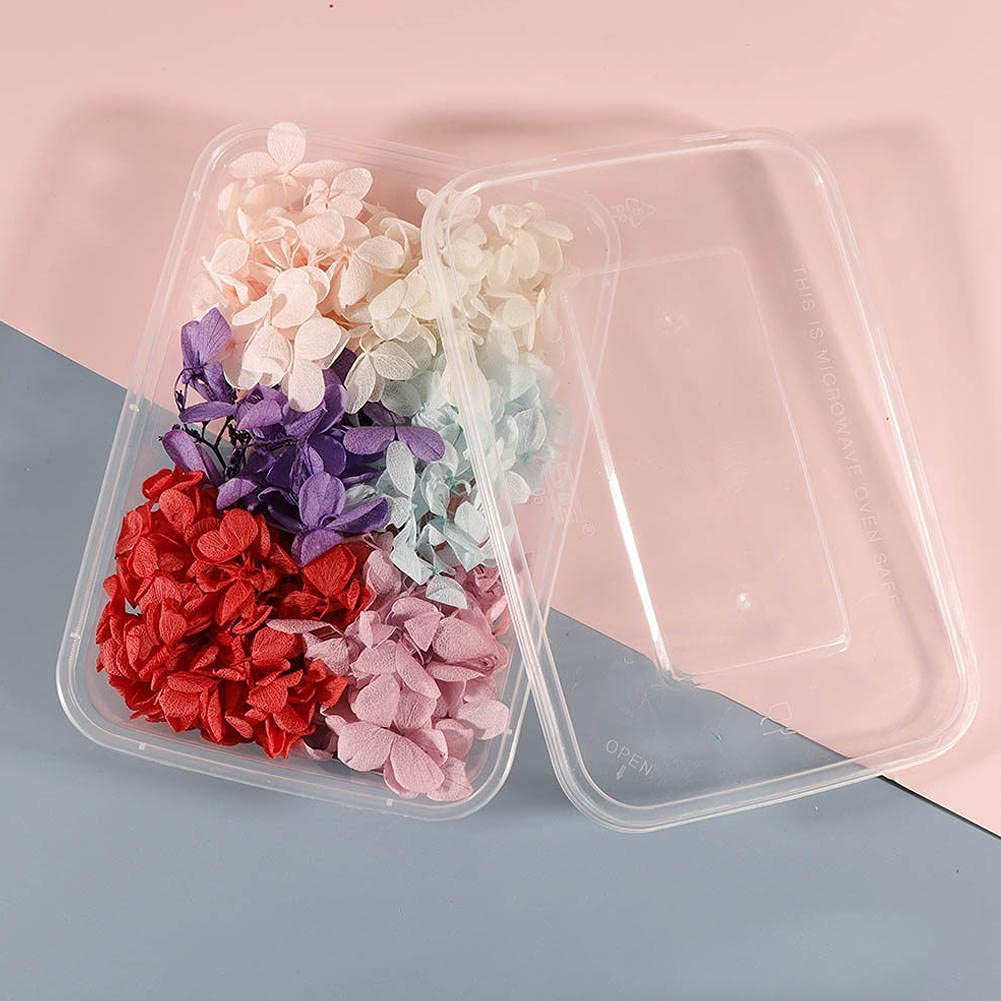 Weeee Premium Dried Flowers for Resin Art - Colorful Real Pressed Dry Flowers for DIY Crafts, Nail Art, Candle & Soap Making, Jewelry Pendants & Home Decor - Perfect for Wedding Bouquets, Scrapbooking & Floral Arrangements