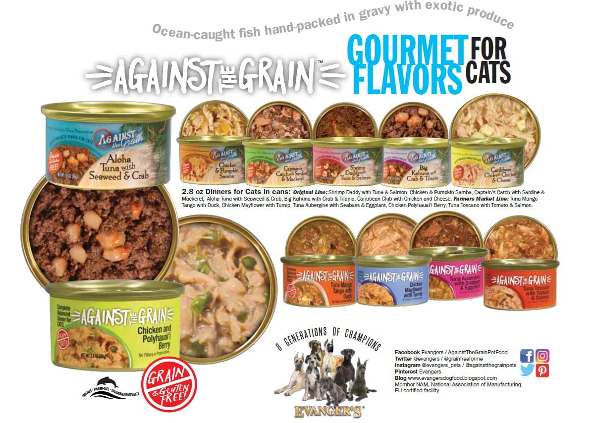 Premium Grain-Free Shrimp, Tuna & Salmon Cat Food - 24 Pack of 2.8 oz Cans | High Protein Wet Food for Adult Cats | Perfect for Picky Eaters & Sensitive Stomachs | Ideal for Mealtime, Travel & Emergency Kits