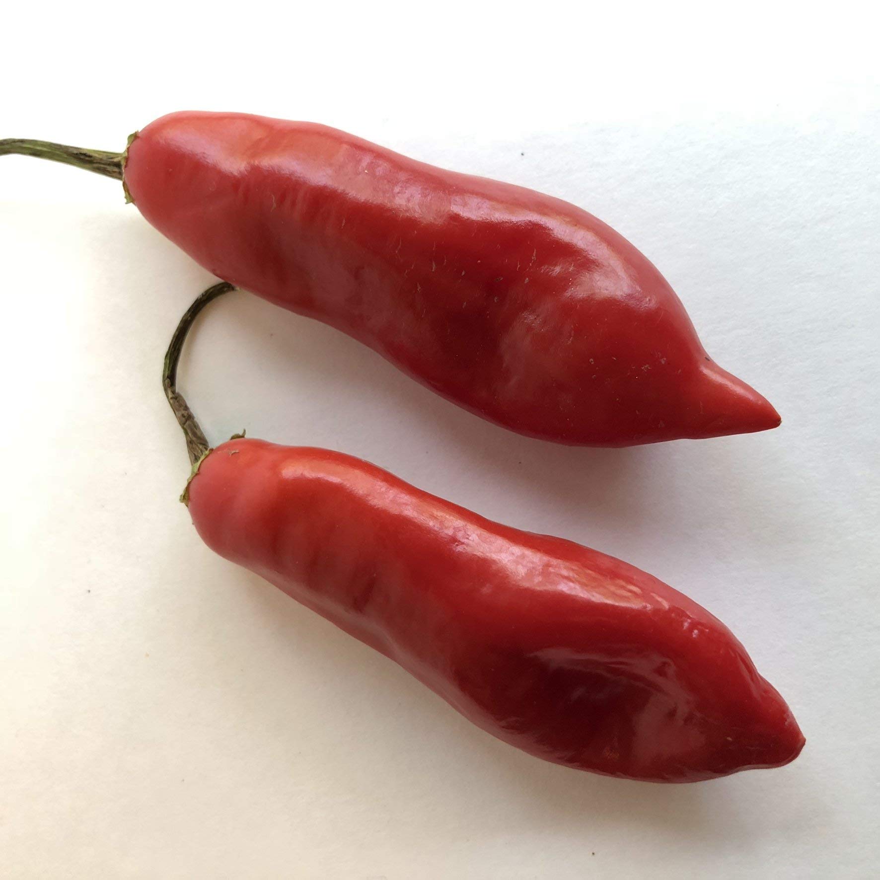 Aji Sugar Rush Red Pepper Seeds - Heirloom Non-GMO Hot Chili Seeds for Planting, Cooking, and Pickling - Perfect for Home Gardeners and Spicy Food Lovers