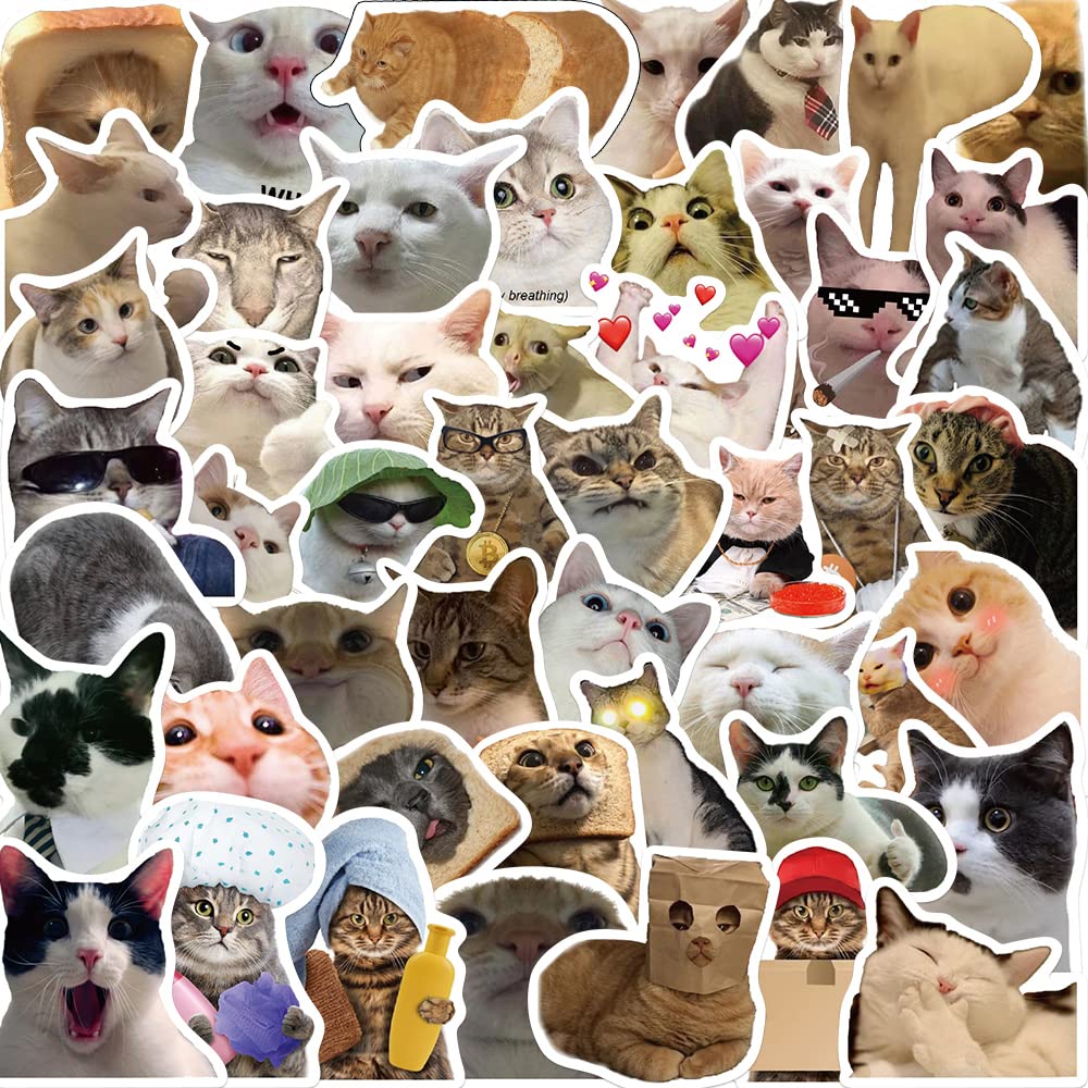 50Pcs Cute Cat Stickers - Waterproof Vinyl Decals for Water Bottles, Laptops, Phones & More | Trendy Aesthetic Stickers for Teens, Adults, Kids, Girls & Cat Lovers | Perfect for School, Office, Skateboards & DIY Crafts