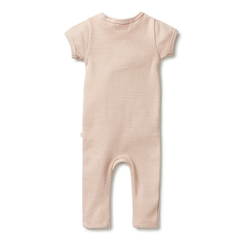 Organic Stripe Rib Zipsuit for Baby - Soft Cotton Jumpsuit with Front Zipper - Perfect for Newborns, Infants & Toddlers - Ideal for Playtime, Naptime & Photo Shoots