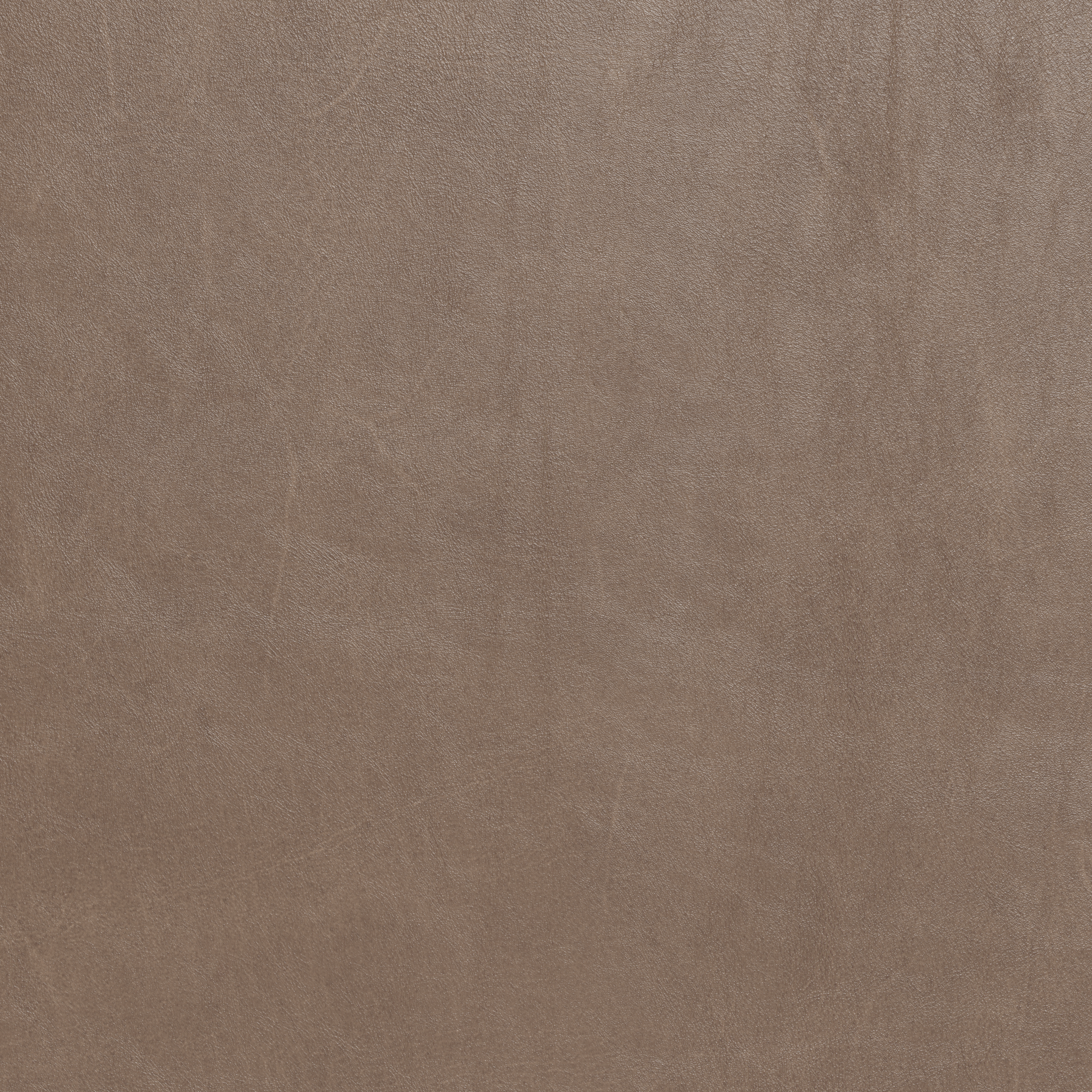 Premium Genuine Leather Raf Chair - Modern Dining & Living Room Furniture for Home & Office Use