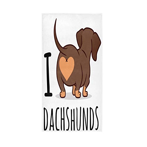 Cute Dachshund Dog