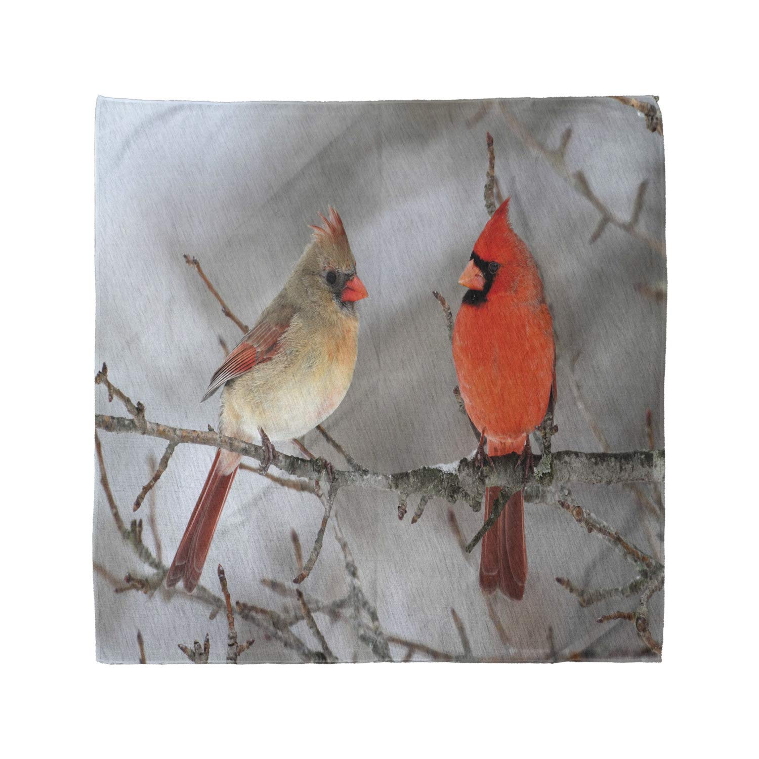 Lunarable Unisex Bandana - Northern Cardinal Bird Print in Vermilion, Tan & Beige | Perfect for Outdoor Activities, Hiking, Camping & Fashion Accessories