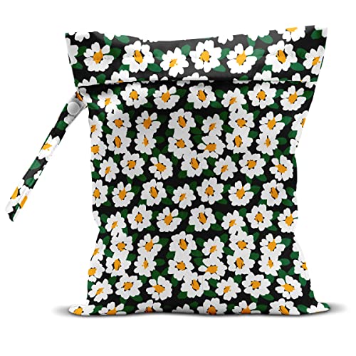 chrysanthemum