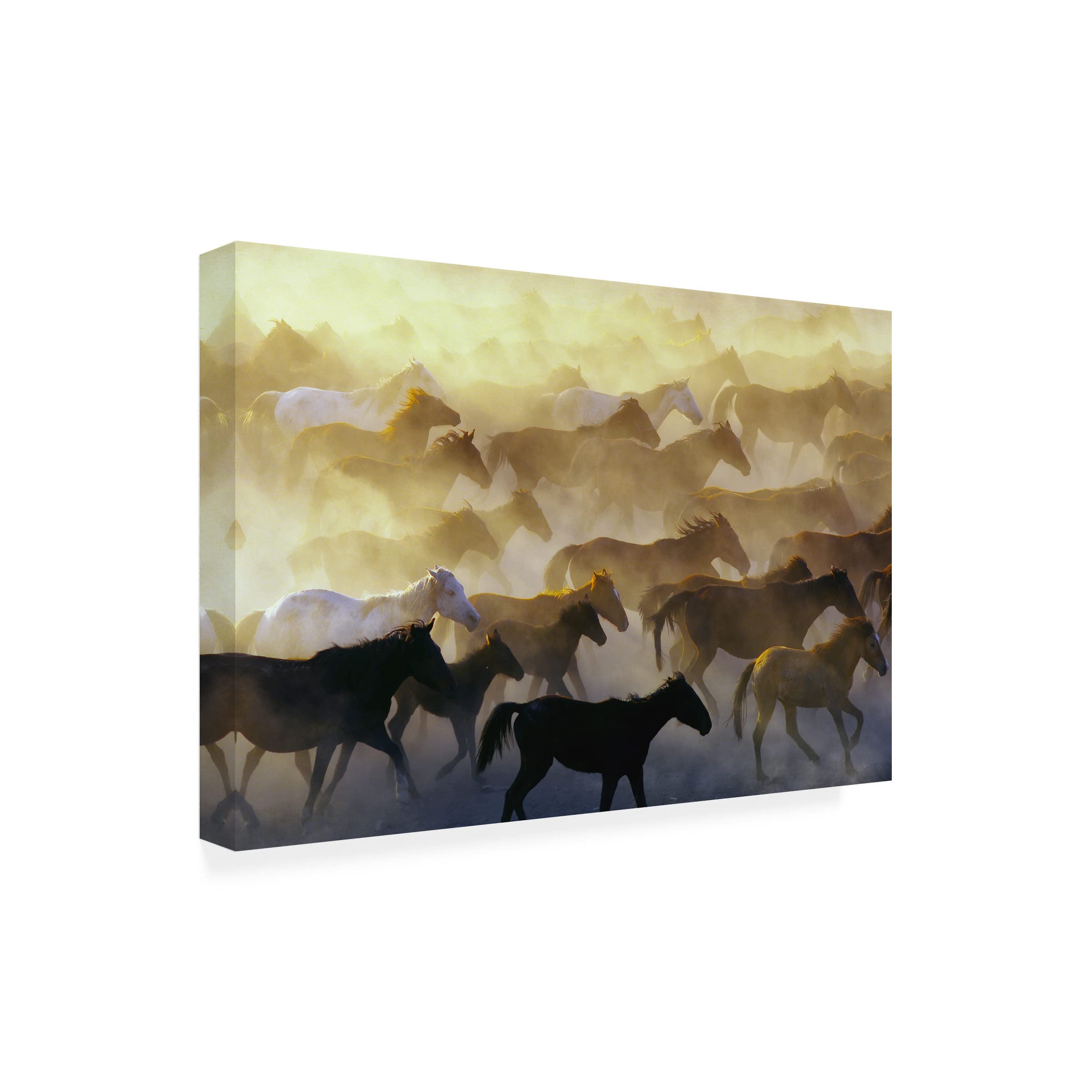 Trademark Fine Art 'Wild Horses' Canvas Wall Art Print by Emir Bagci - Stunning Western Home Decor for Living Room, Bedroom & Office