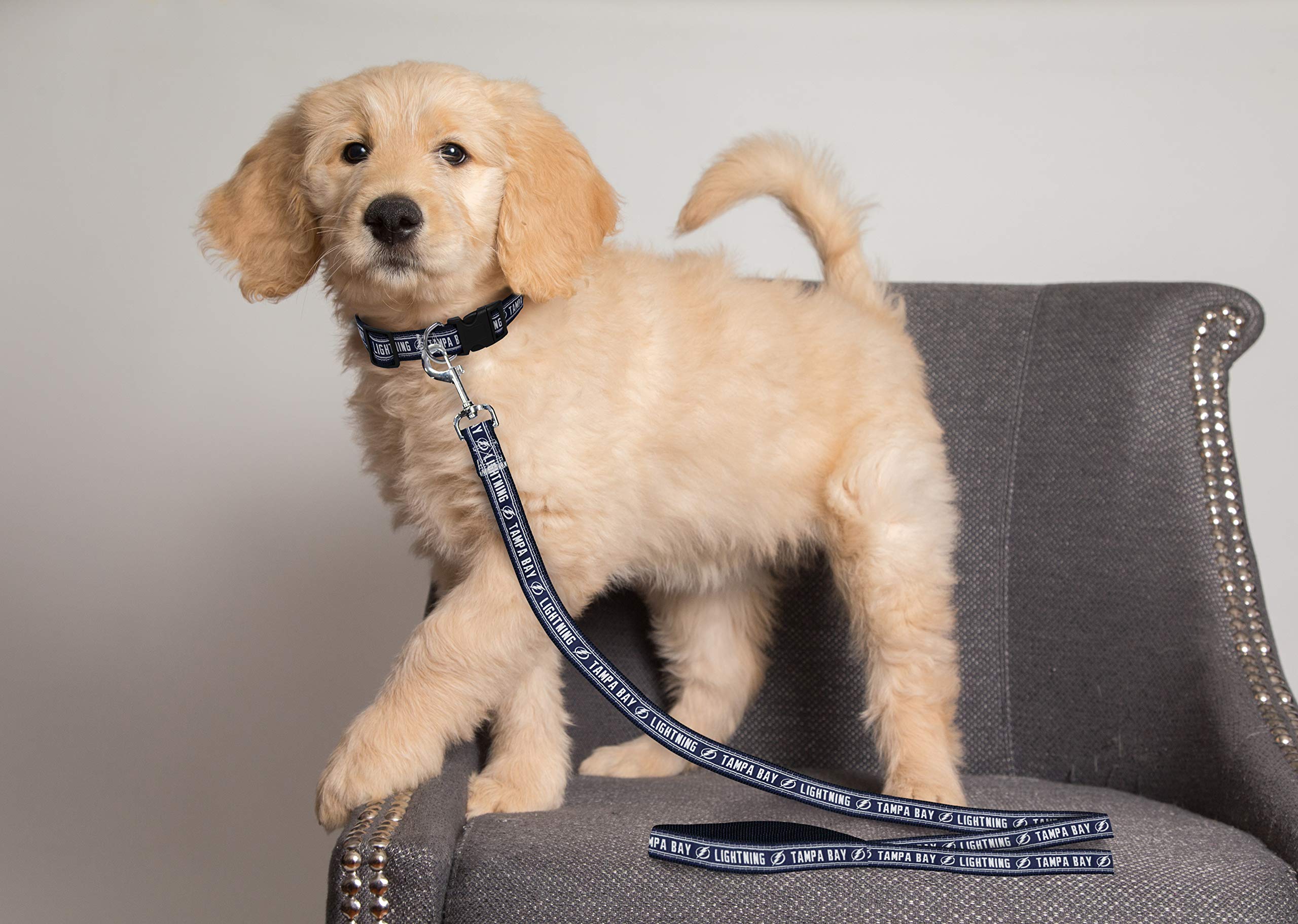 **Tampa Bay Lightning NHL Dog & Cat Leash - 4 ft Medium Pet Leash for Hockey Fans, 0.62 in Width (LTG-3031-MD) - Perfect for Game Day Walks & Stylish Outings**