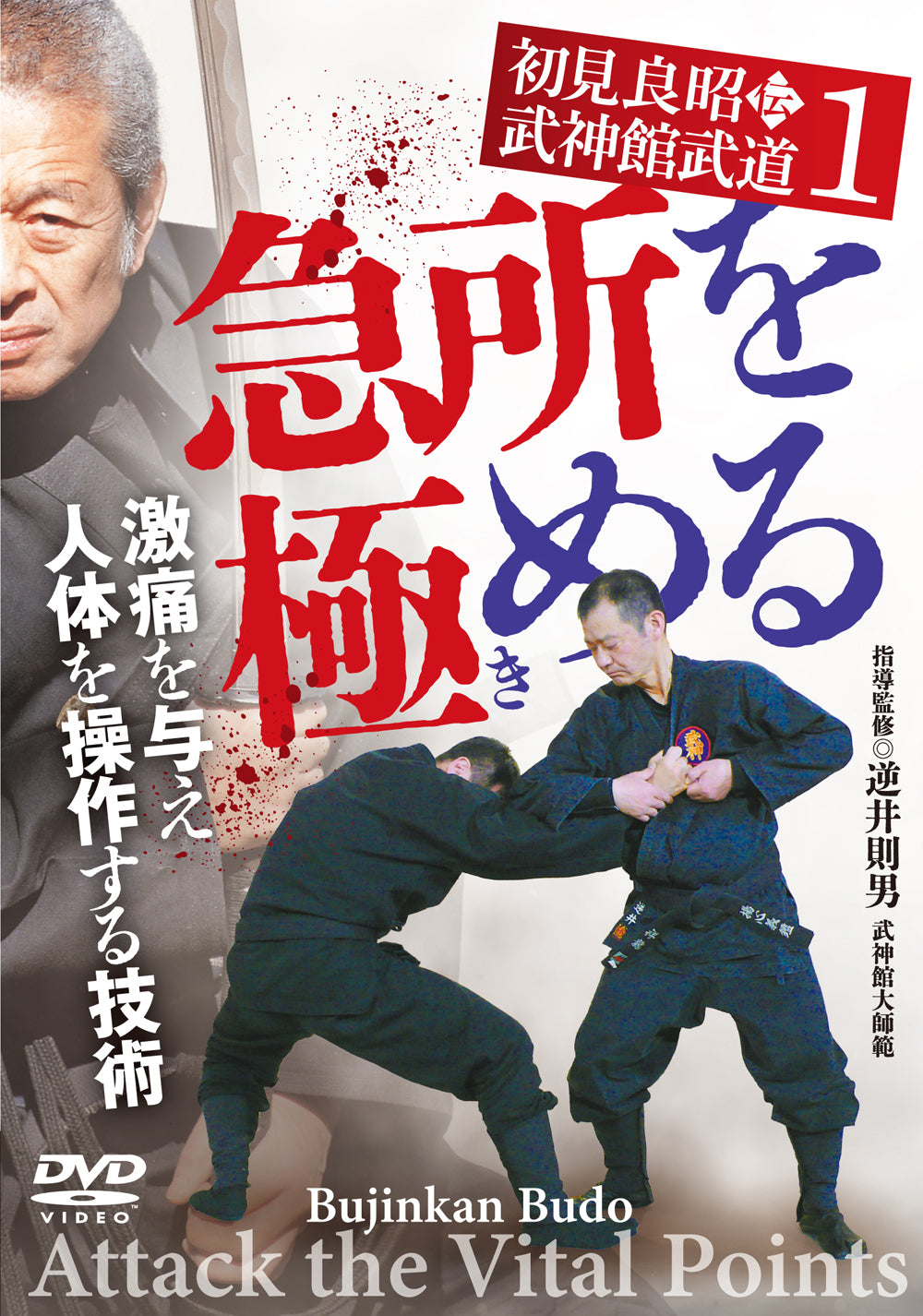 Norio Sakasai Bujinkan Budo: Attack the Vital Points DVD - Self Defense Training for Martial Arts Practitioners