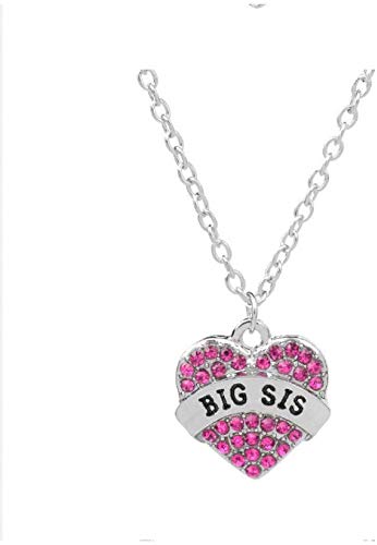 Elegant Rhinestone Heart Memorial Necklace - Pet Urn Jewelry for Dogs & Cats, Funeral Keepsake for Ashes, Friendship Gift for Women - Perfect for Remembrance & Special Occasions