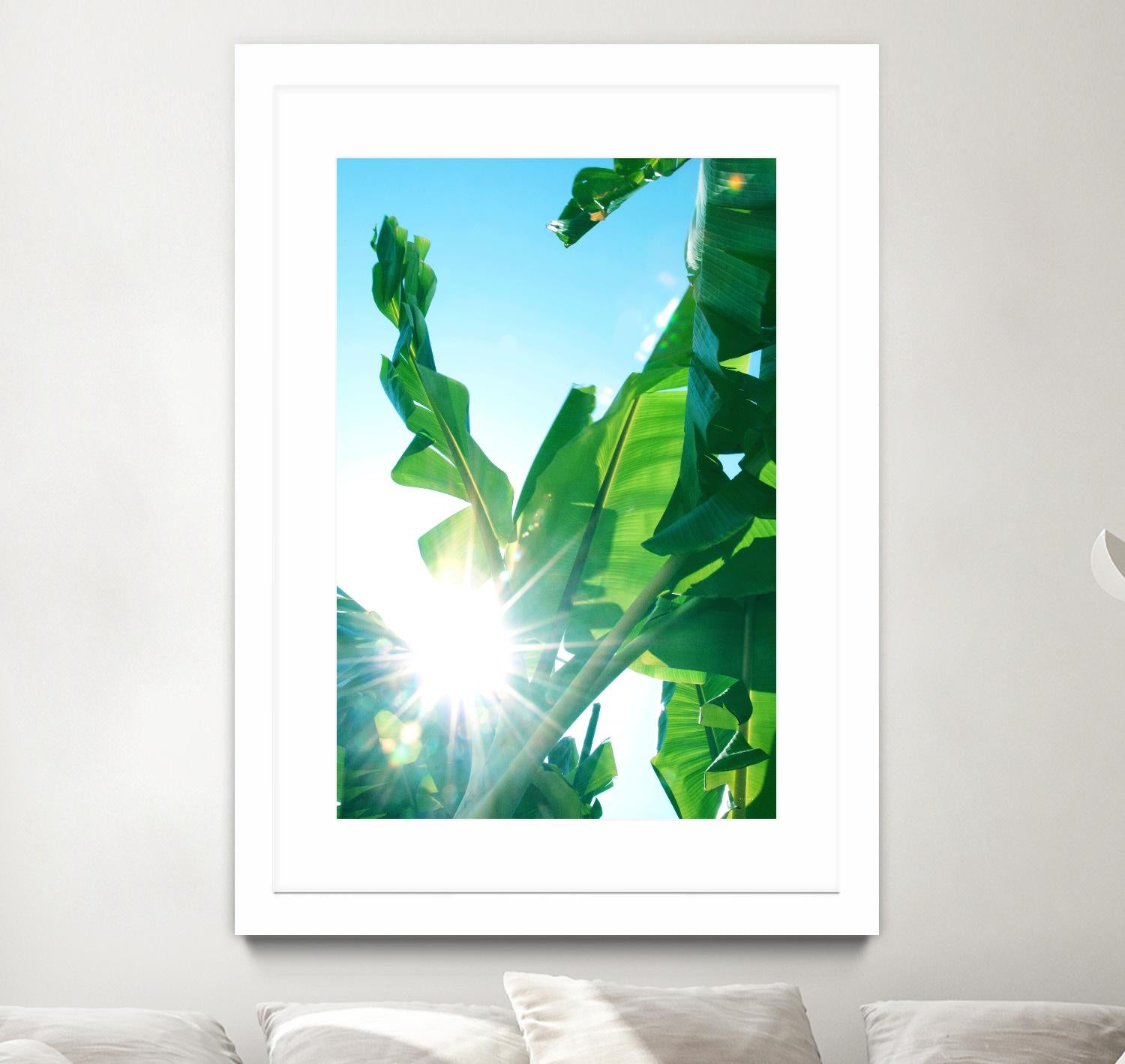 Premium Banana Leaves for Tropical Decor - Natural & Eco-Friendly Art for Home, Party & Wedding Decorations