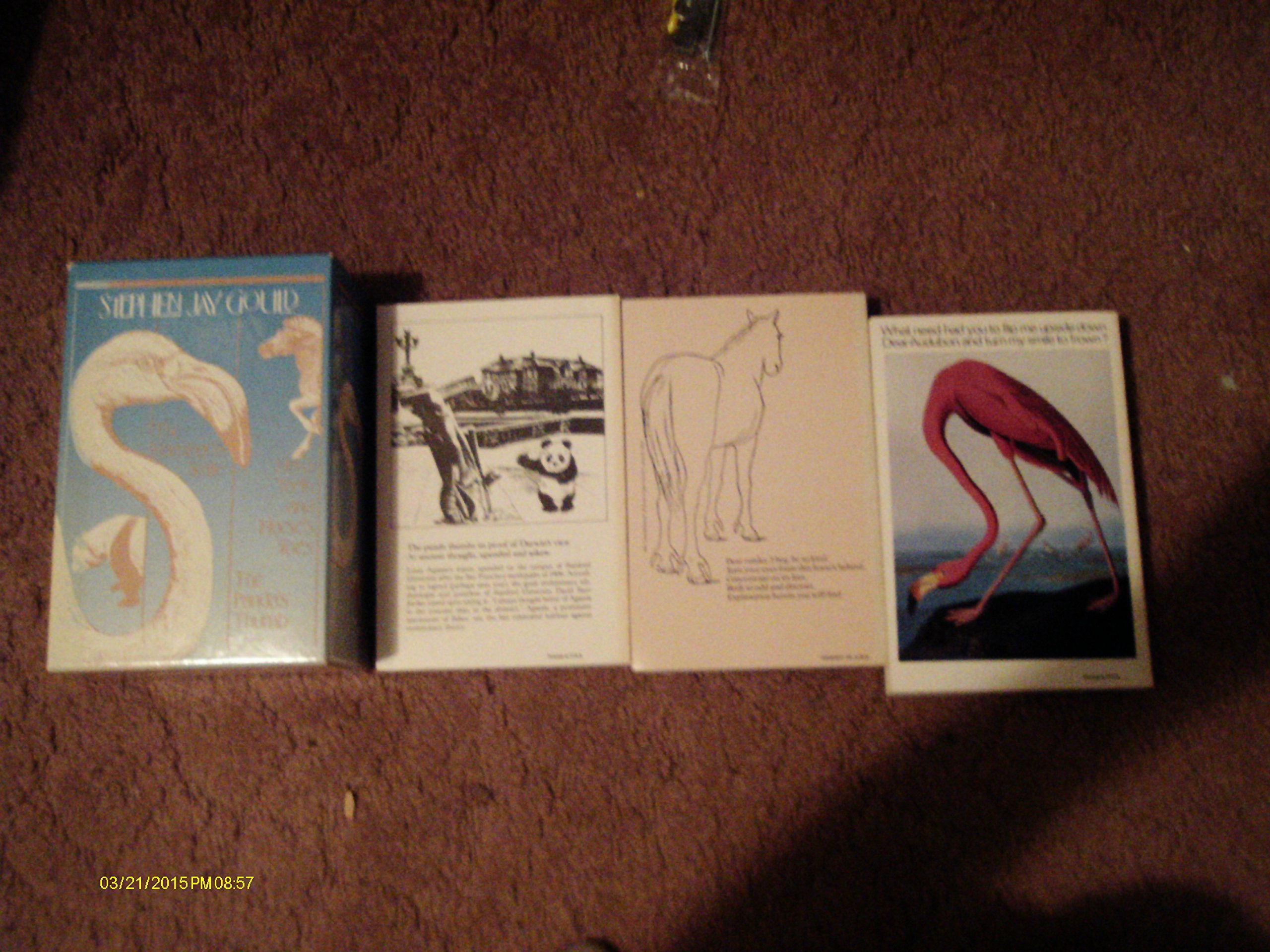 The Flamingo's Smile, Hen's Teeth and Horse's Toes, The Panda's Thumb - 3 Volume Boxed Set by Stephen Jay Gould | Science & Nature Book Collection for Biology Enthusiasts, Classroom Learning & Gift Ideas