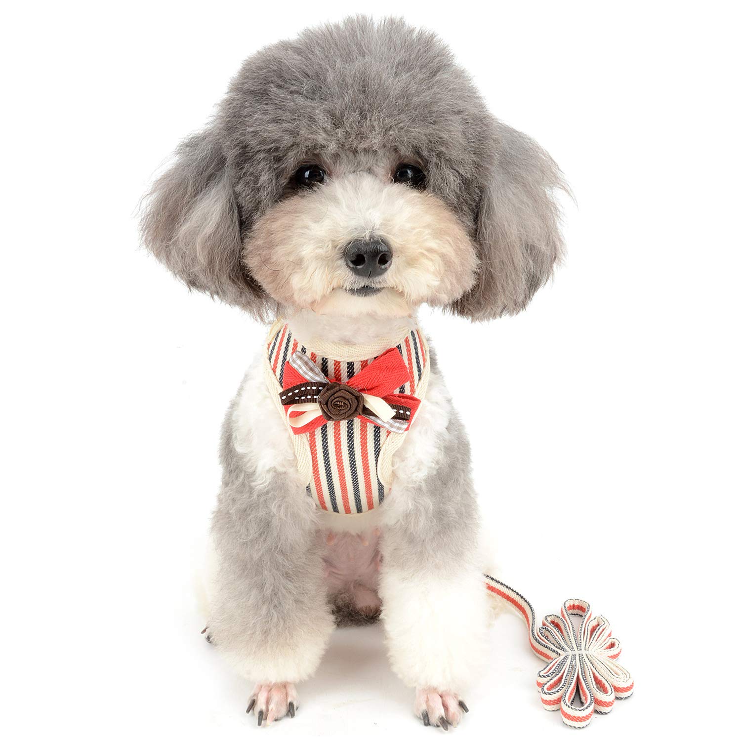 **Ranphy No Pull Mesh Harness for Small Dogs & Cats – Breathable Soft Padded Vest with Leash Set, Escape Proof & Choke-Free Design – Cute Striped Puppy Harness with Flower Bow for Chihuahua, Yorkie (Red) – Perfect for Walks, Training & Outdoor Adventures**
