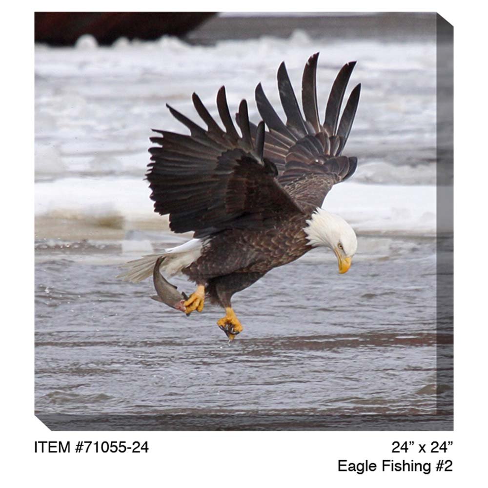 West of the Wind All-Weather Eagle Fishing Art Print - 24 Inch Waterproof Canvas Wall Decor for Living Room, Bedroom & Office - Perfect for Coastal, Cabin or Outdoor Enthusiast Gifts