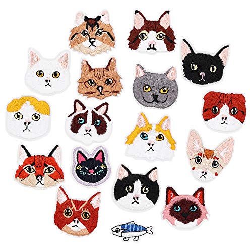 Kitten 17pcs