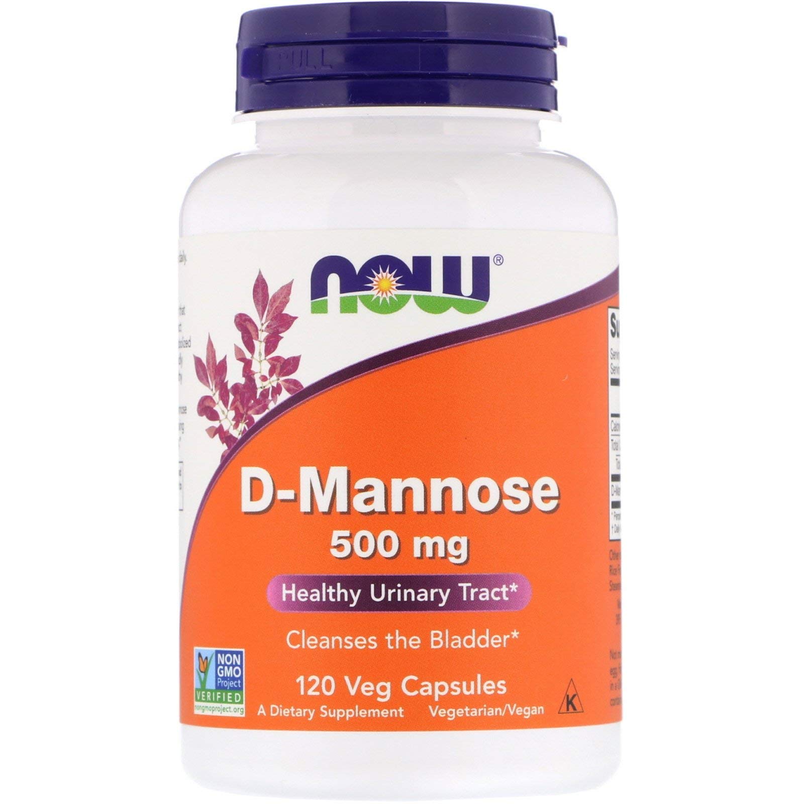 Now Foods D-Mannose 500mg 120 Capsules (5 Bottles) - Urinary Tract Health Supplement for Women & Men - Supports Bladder & Kidney Function