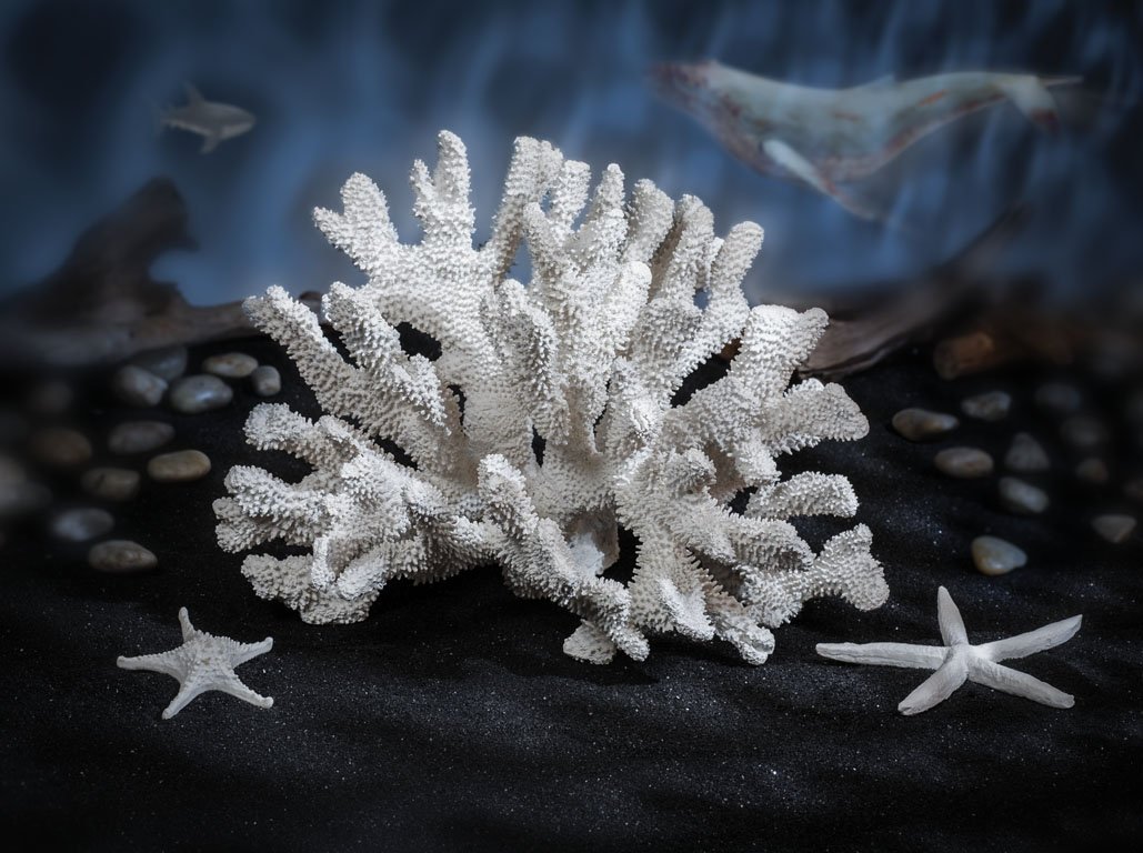 Abbott Collection White Small Flat Starfish - Coastal Home Decor, Beach Themed Accessories for Bathroom, Living Room & Outdoor Spaces