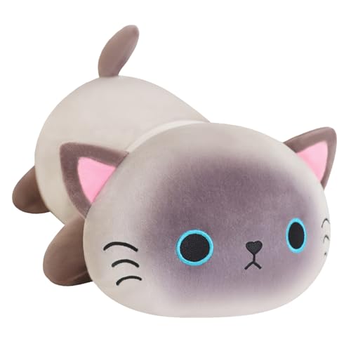 Siamese Cat