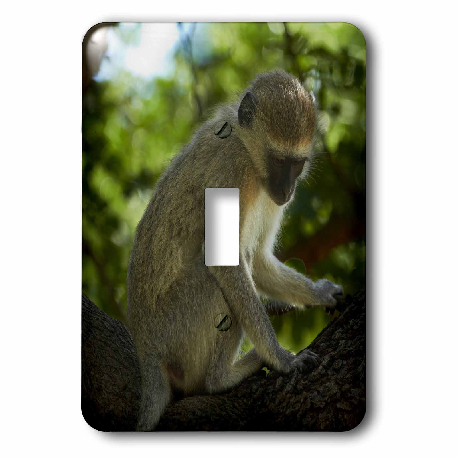 3D Printed Vervet Monkey Light Switch Cover - African Wildlife Decor from Victoria Falls, Zimbabwe - Perfect for Home, Office, or Safari-Themed Room Decor