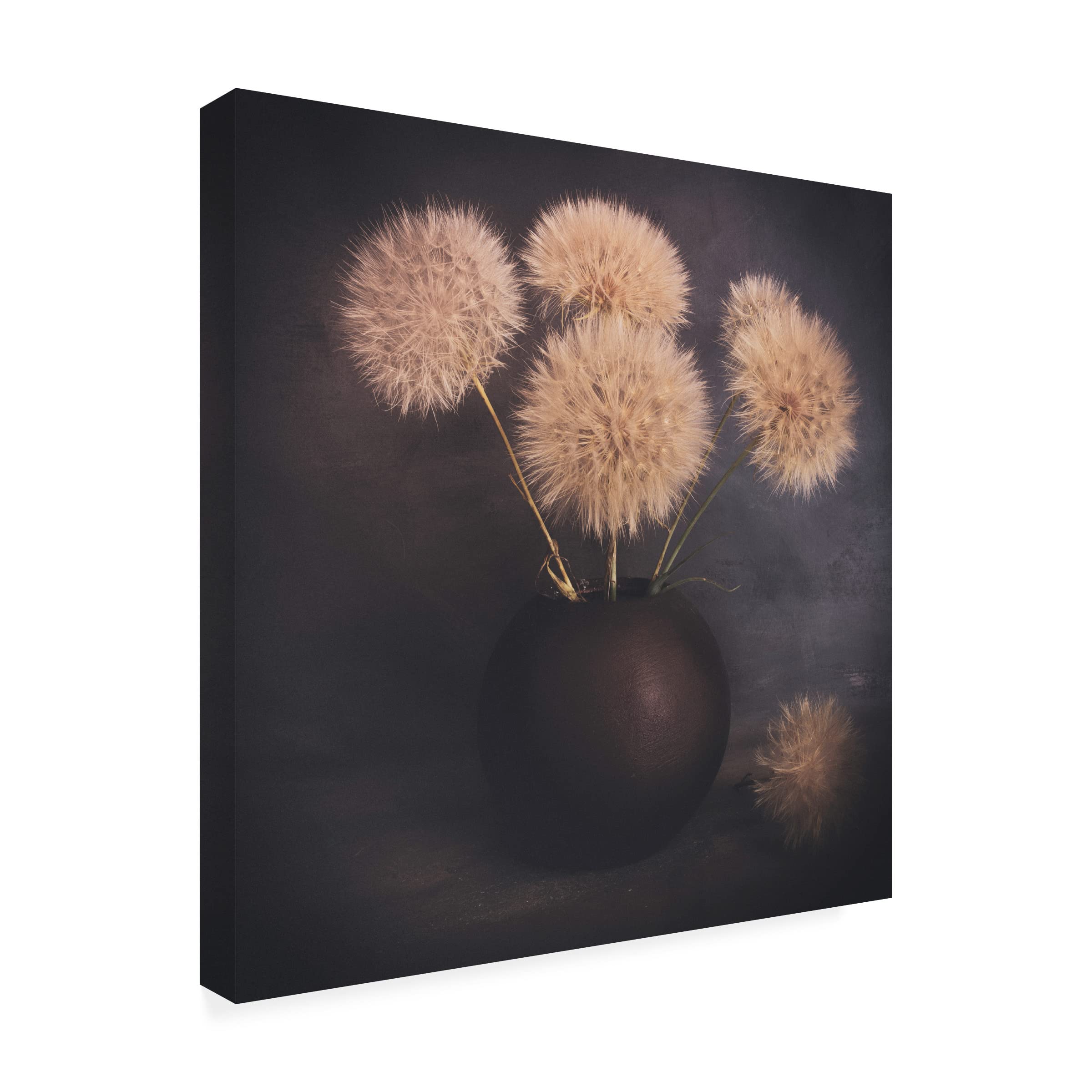 Trademark Fine Art 'Calm 2' Canvas Wall Art Print by Cicek K?ral - Modern Abstract Painting for Living Room, Bedroom & Office Decor