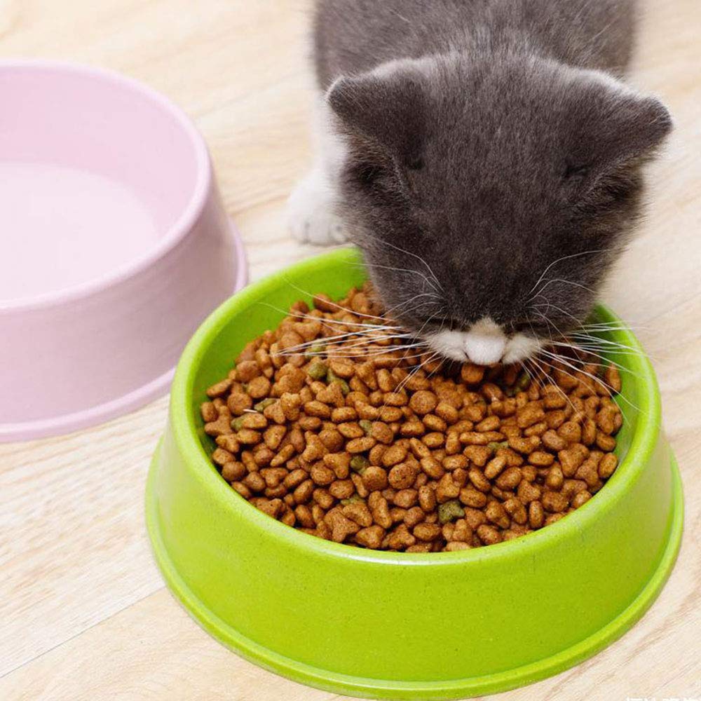 **Stainless Steel Pet Bowl for Cats & Dogs - Non-Slip Pet Food & Water Dish for Dry/Wet Food - Durable Feeder Station for Home, Kitchen, or Outdoor Use**