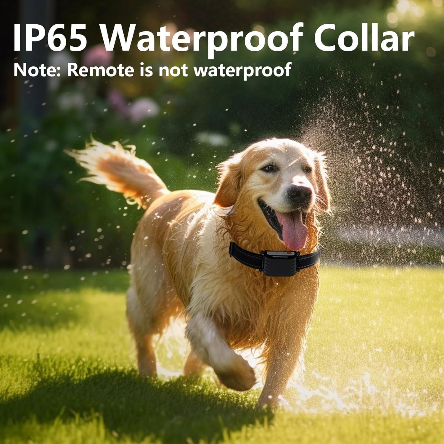 Wireless Dog Fence System for 2 Dogs with Training Collar - Rechargeable & Adjustable Range Pet Containment Solution for Large/Medium Yards, Perfect for Outdoor Training & Backyard Security