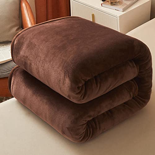 Premium Double-Sided Fleece Blanket - Ultra Soft & Fluffy Warm Bed Blanket for All Seasons - 150x200cm Lightweight Plush Throw (Gray) - Perfect for Sofa, Travel, Camping & Home Decor