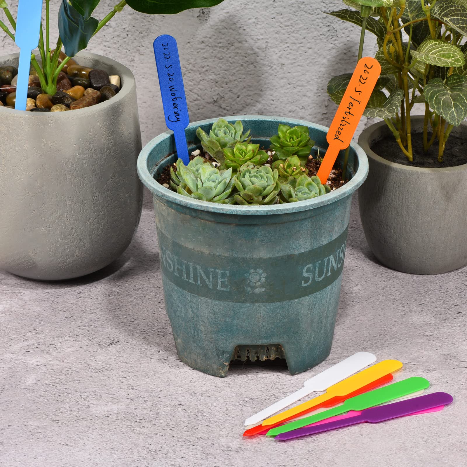 PATIKIL 100Pcs Purple PP Rectangle Plant Labels - Waterproof Garden Markers for Indoor & Outdoor Plants, Seedlings, Herbs - Perfect for Gardening, Organizing, and Plant Identification