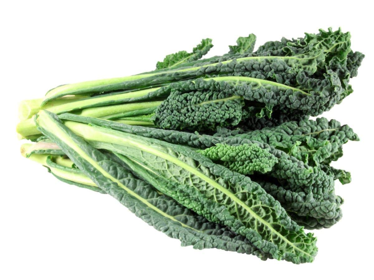 Organic Lacinato Kale Seeds for Planting - 500+ Heirloom Non-GMO Seeds (Brassica oleracea) | Perfect for Home Gardening, Urban Farming & Healthy Cooking | Great Gift for Gardeners