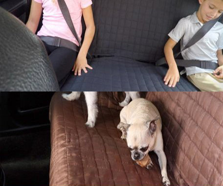 Car Seat Protector - Waterproof & Non-Slip Car Seat Cover for Pets, Kids & Adults - Perfect for Road Trips, Daily Commutes & Family Travel