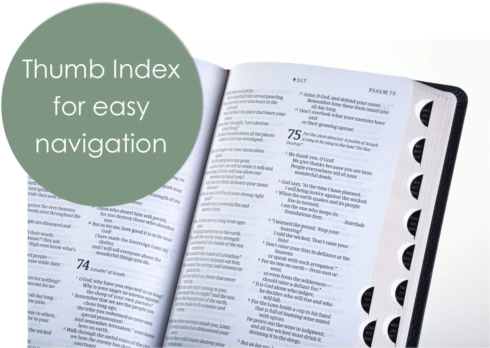 Large Print Thinline Bible - Genuine Leather, Indexed for Easy Reading & Study