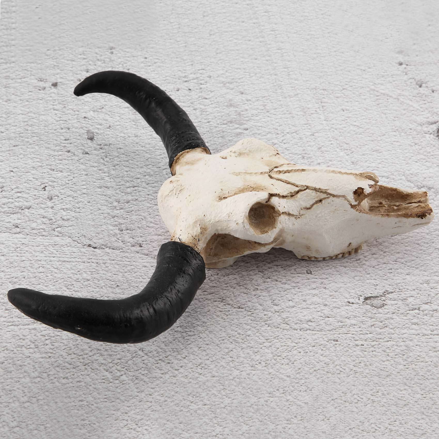 3D Resin Longhorn Cow Skull Wall Art - Wildlife Animal Sculpture for Western Home Decor, Halloween Party, Ranch & Farmhouse Wall Hanging Decoration
