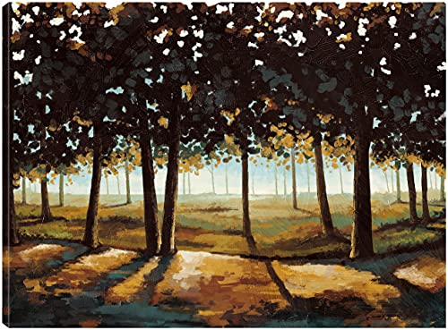 Dynamic Light Landscape