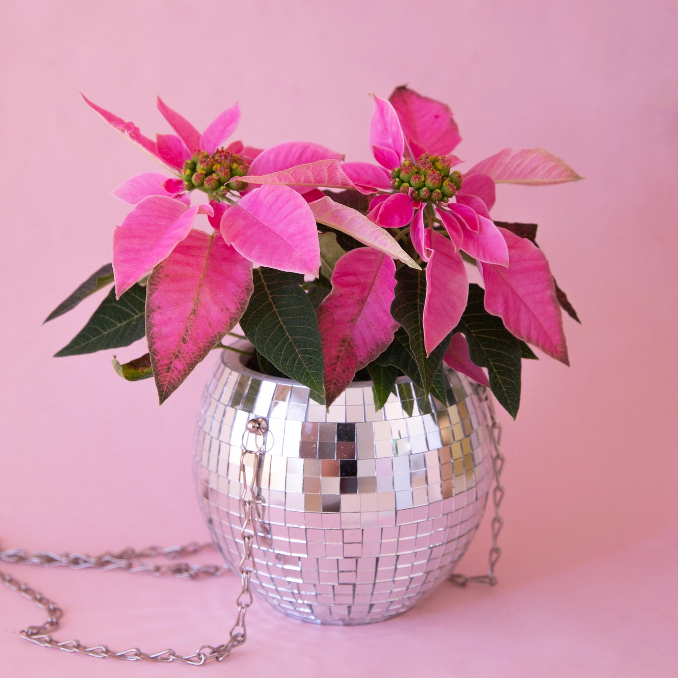 Disco Hanging Planter - Modern Geometric Glass Planter for Indoor Plants, Succulents & Air Plants - Perfect for Home, Office & Boho Decor