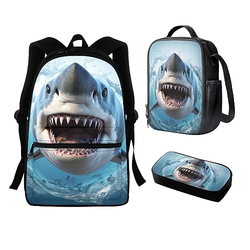 0 Cool Shark