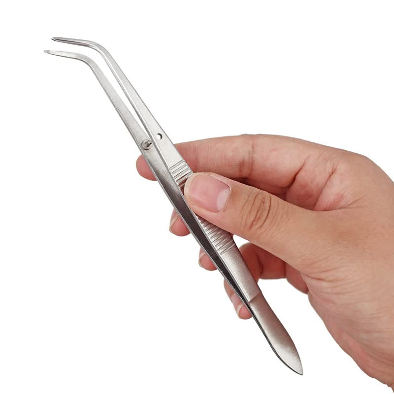 4-Piece Stainless Steel Dental Surgical Tweezers Set - 16cm Serrated Curved Forceps for Teeth Whitening, Oral Care & Dentist Lab Tools | Professional Dental Instruments for Dentists, Hygienists & Home Oral Care