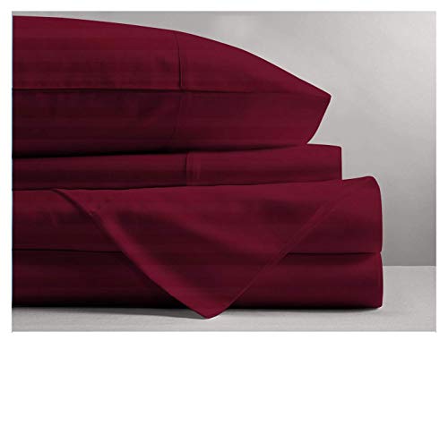 Burgundy Stripe