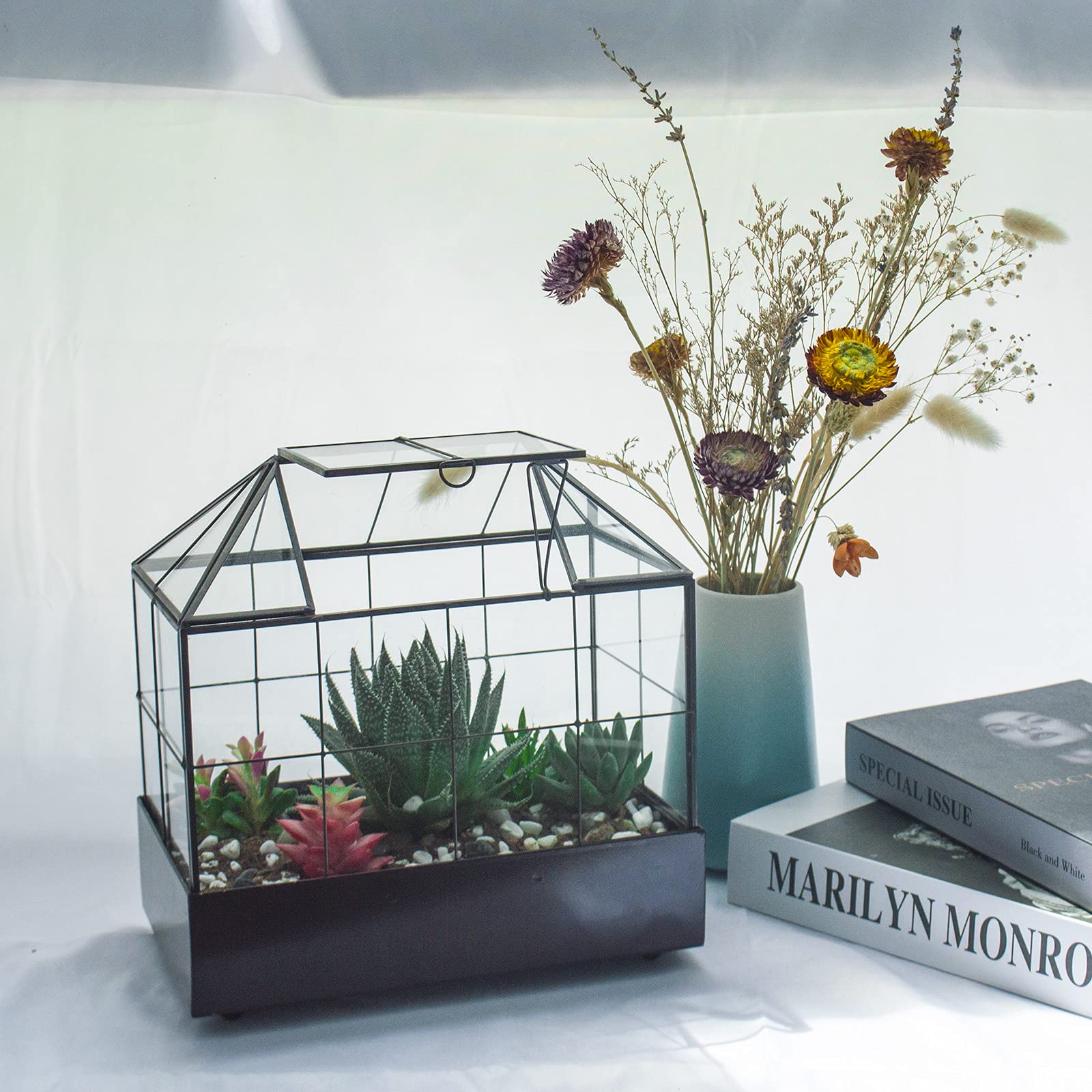 Large Glass Terrarium for Plants - 9.5